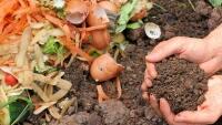 kompost compost-6053136 960 720